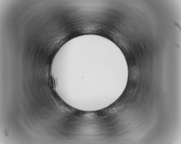 X0000097950505200804211040