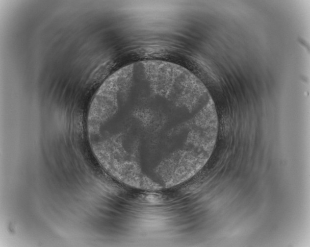 X0000097950506200804211040