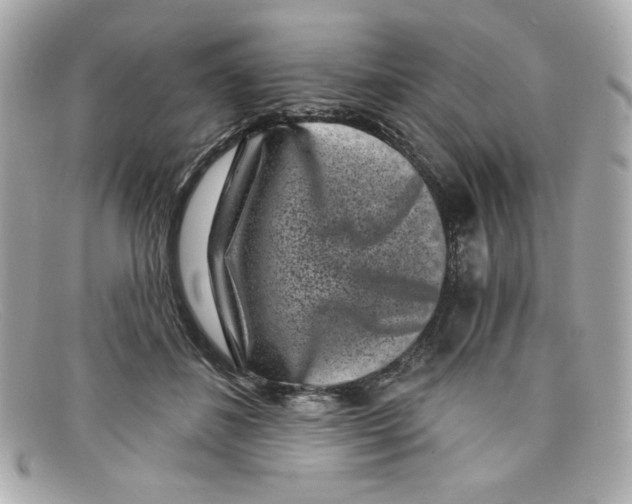 X0000097950508200804211040