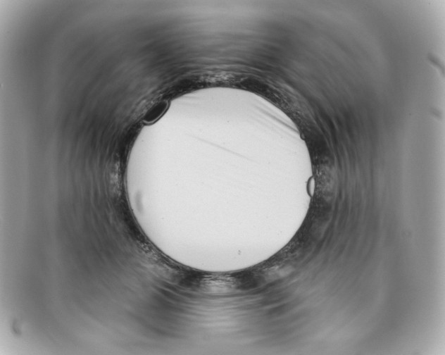 X0000097950510200804211040