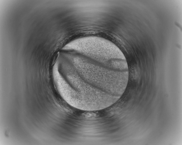 X0000097950512200804211040