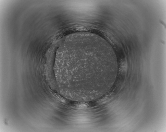X0000097950513200804211040