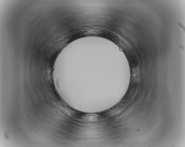 X0000097950514200804211040