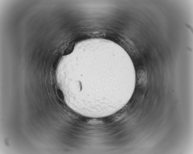 X0000097950515200804211040