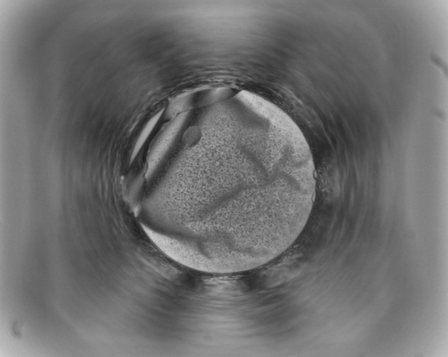 X0000097950516200804211039