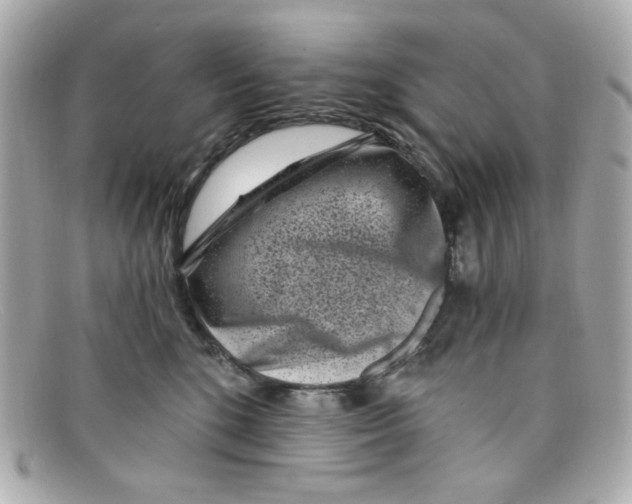 X0000097950520200804211039