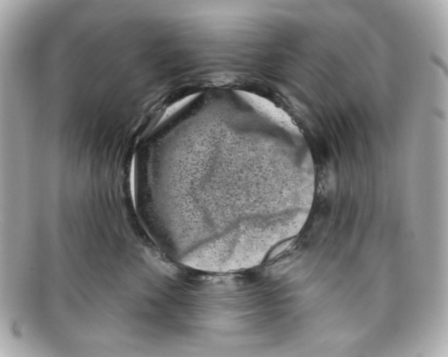 X0000097950524200804211039