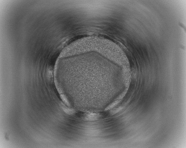 X0000097950527200804211039