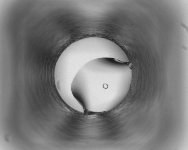 X0000097950528200804211039