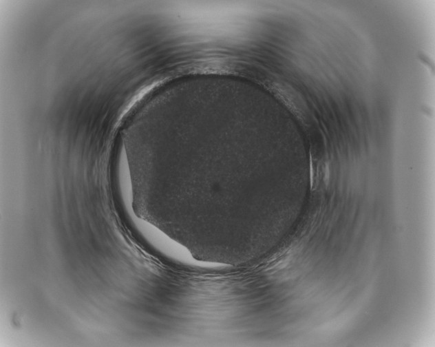 X0000097950531200804211039