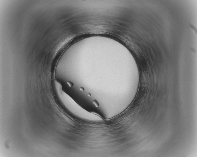 X0000097950535200804211039