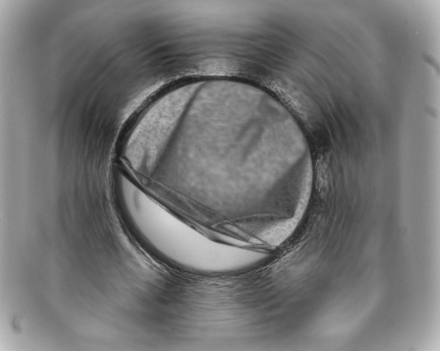X0000097950536200804211039