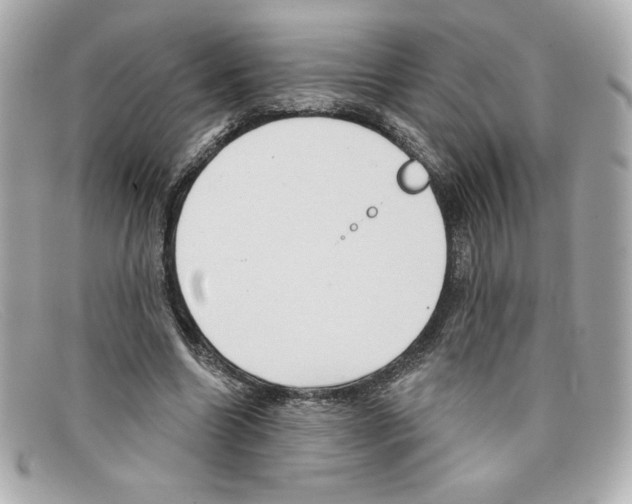 X0000097950538200804211039