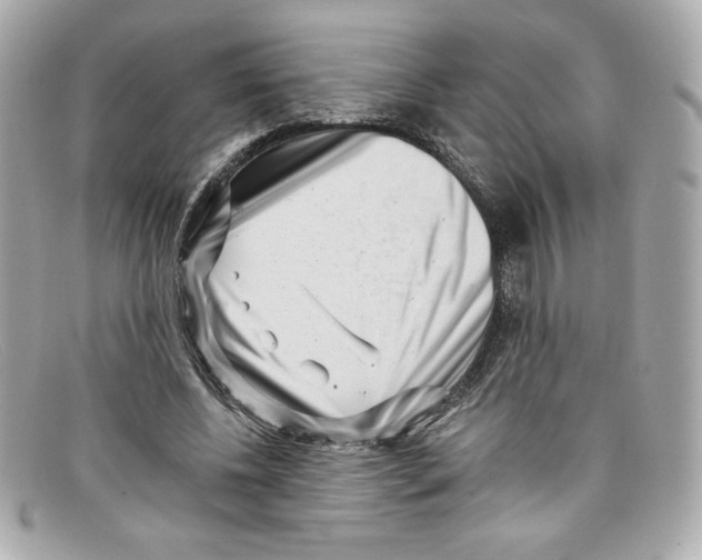 X0000097950540200804211039
