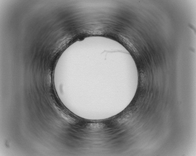 X0000097950541200804211039