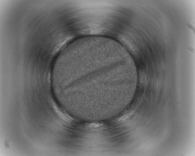 X0000097950542200804211039