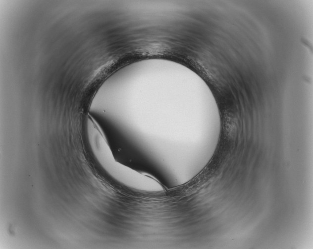 X0000097950543200804211039