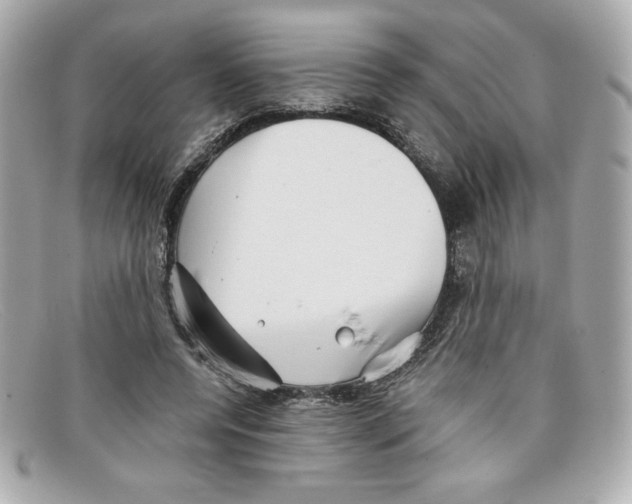 X0000097950544200804211039