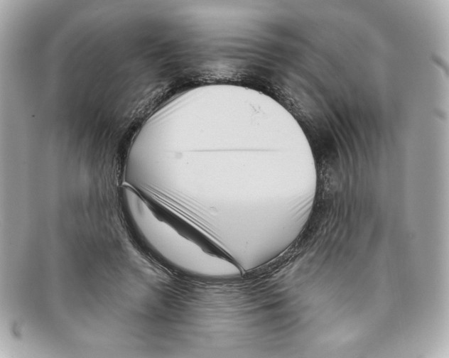X0000097950546200804211039