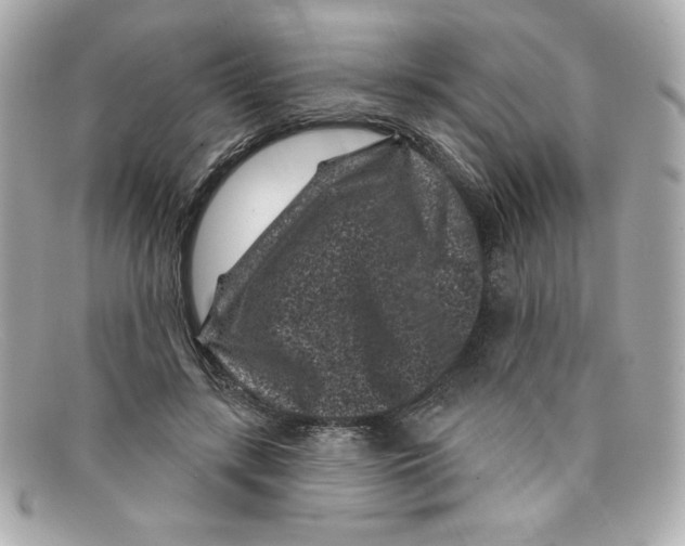 X0000097950547200804211039
