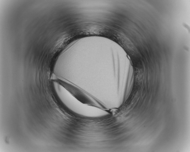 X0000097950548200804211039