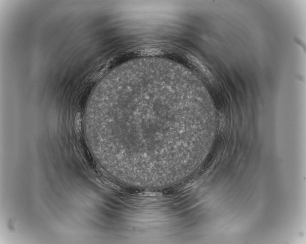 X0000097950549200804211039