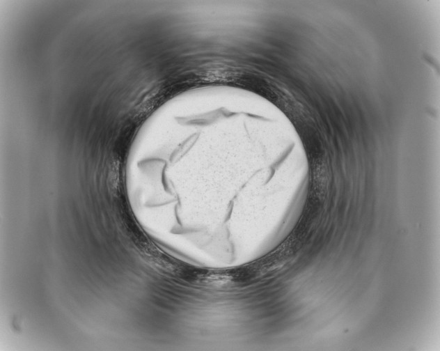 X0000097950554200804211039