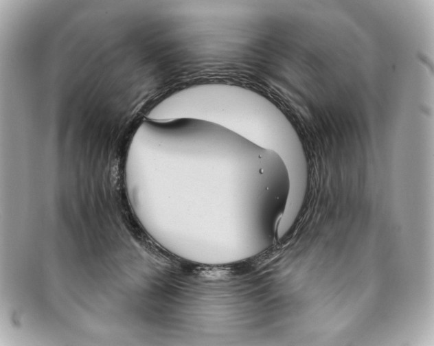 X0000097950560200804211039