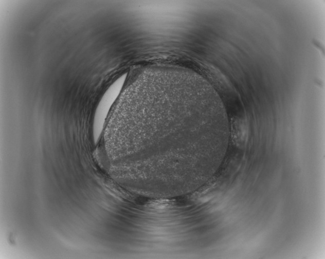 X0000097950563200804211039