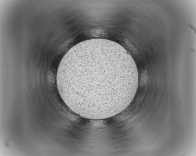 X0000097950569200804211039