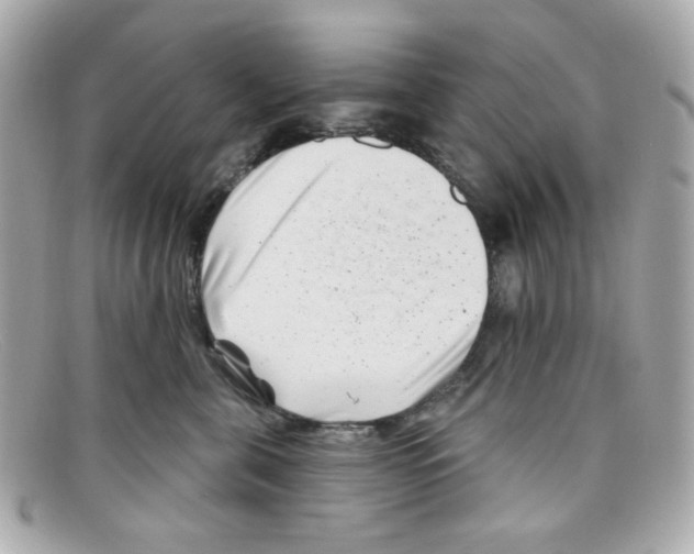X0000097950571200804211039
