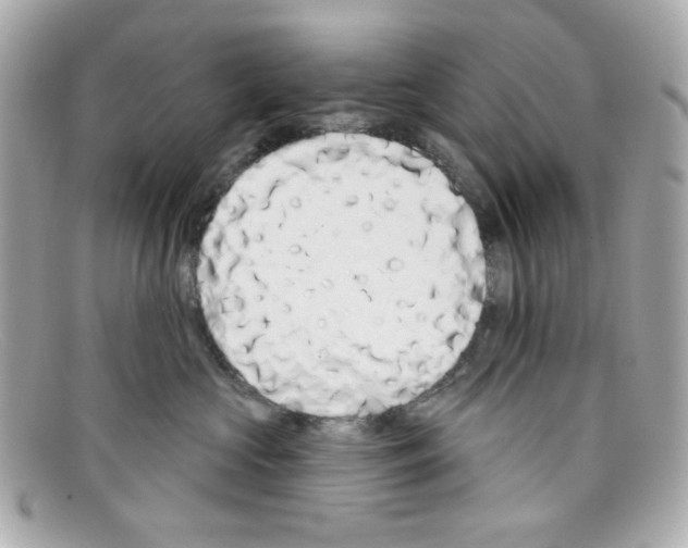 X0000097950573200804211039