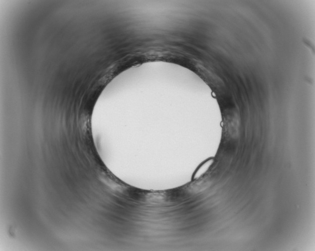 X0000097950574200804211039