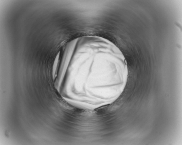 X0000097950576200804211039