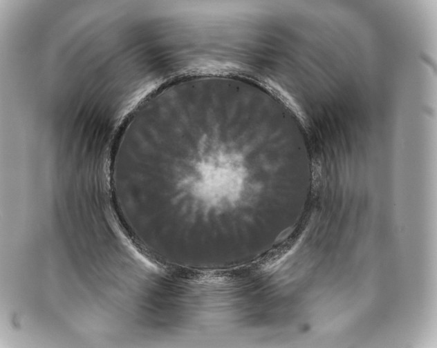 X0000097950581200804211039