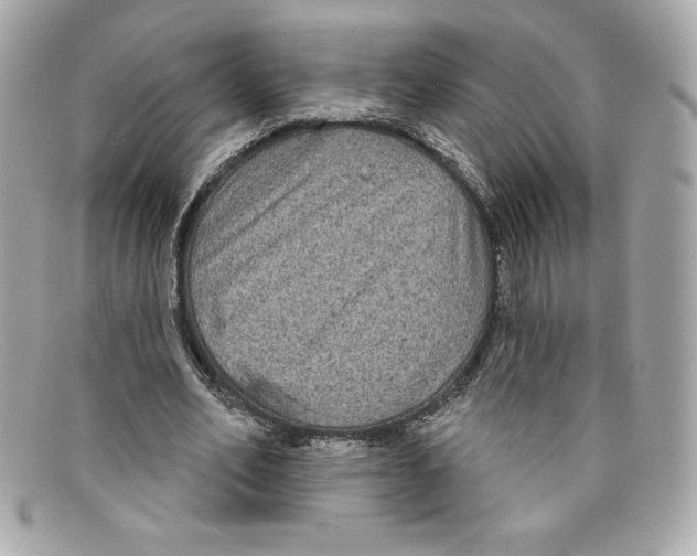 X0000097950582200804211039