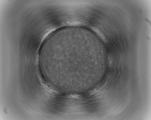 X0000097950583200804211039