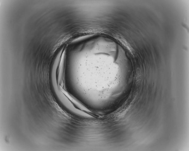 X0000097950585200804211039