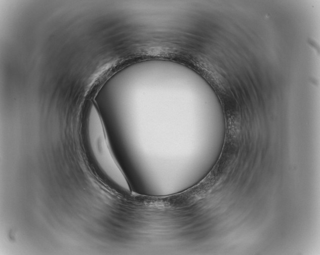 X0000097950587200804211038