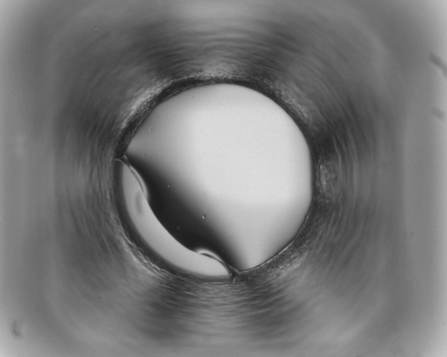 X0000097950588200804211038
