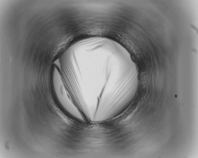 X0000097950589200804211038