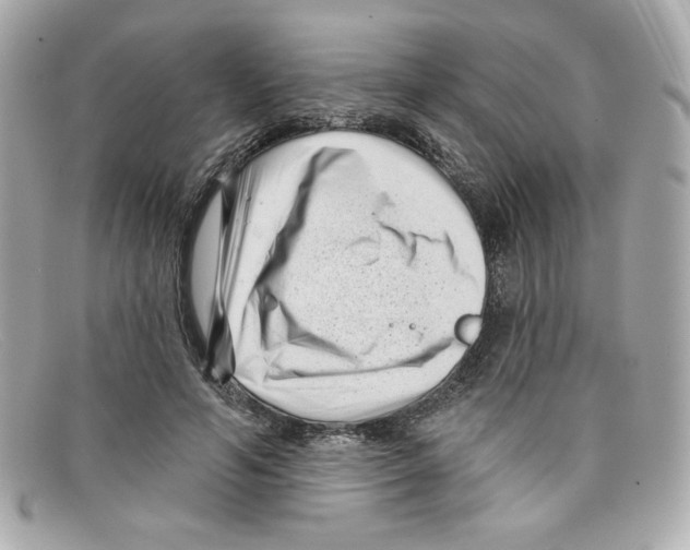 X0000097950594200804211038
