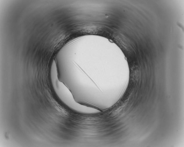 X0000097950597200804211038