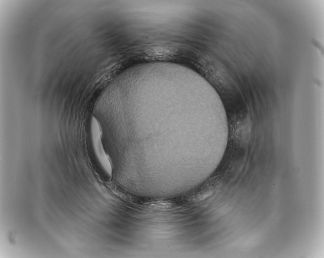 X0000097950599200804211038