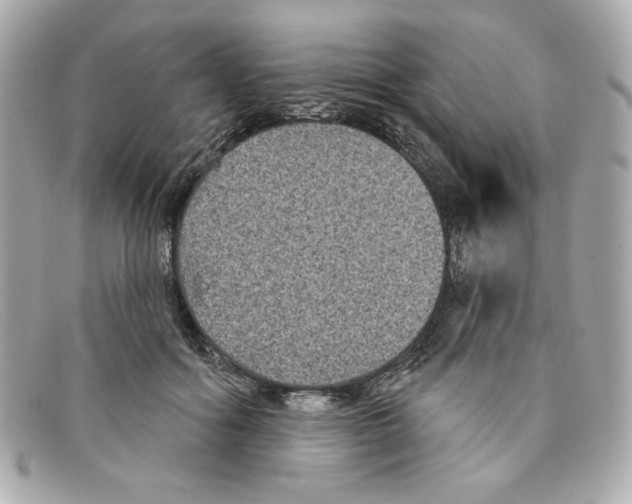 X0000097950602200804211038