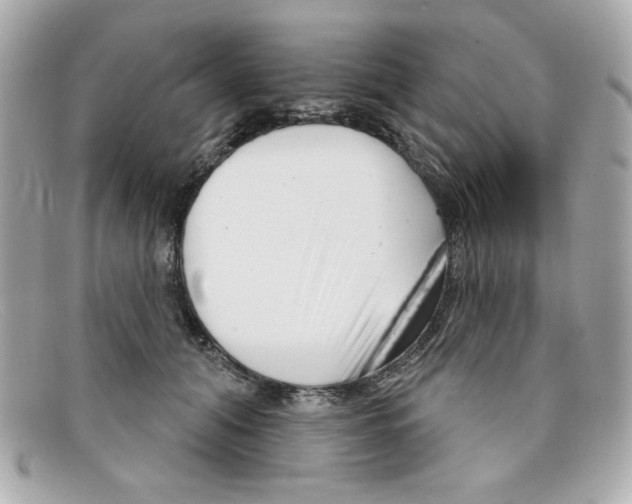 X0000097950608200804211038