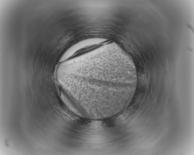 X0000097950609200804211038