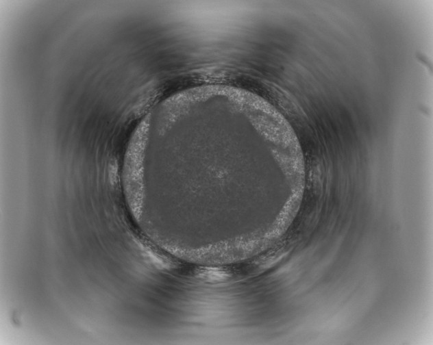 X0000097950610200804211038