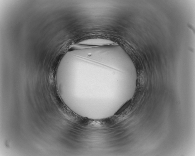 X0000097950611200804211038