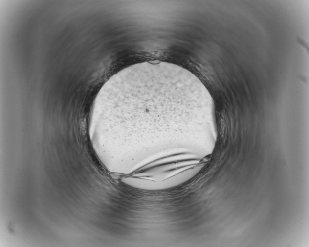 X0000097950613200804211038